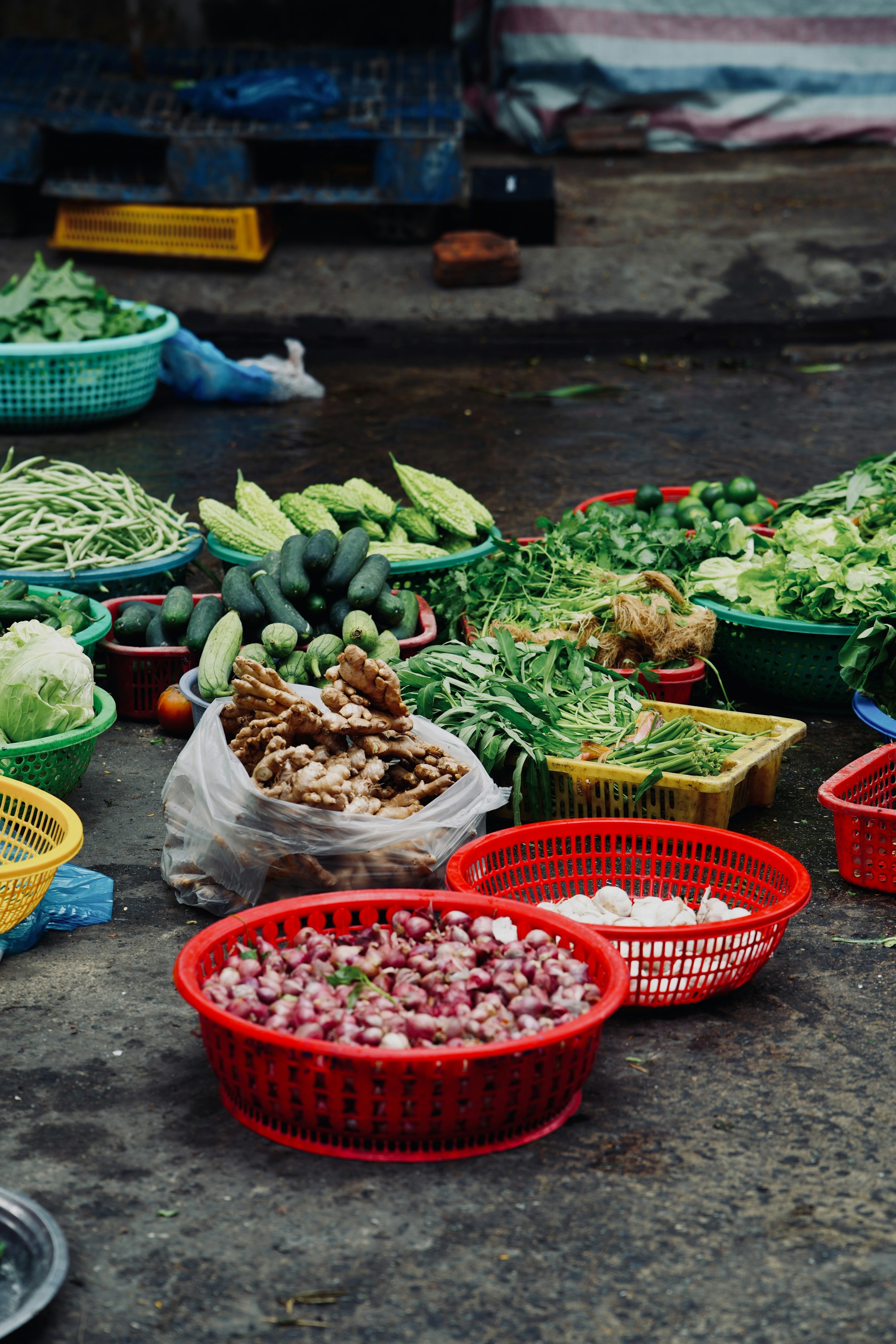 Alimentos que representan una alimentación variada para las familias