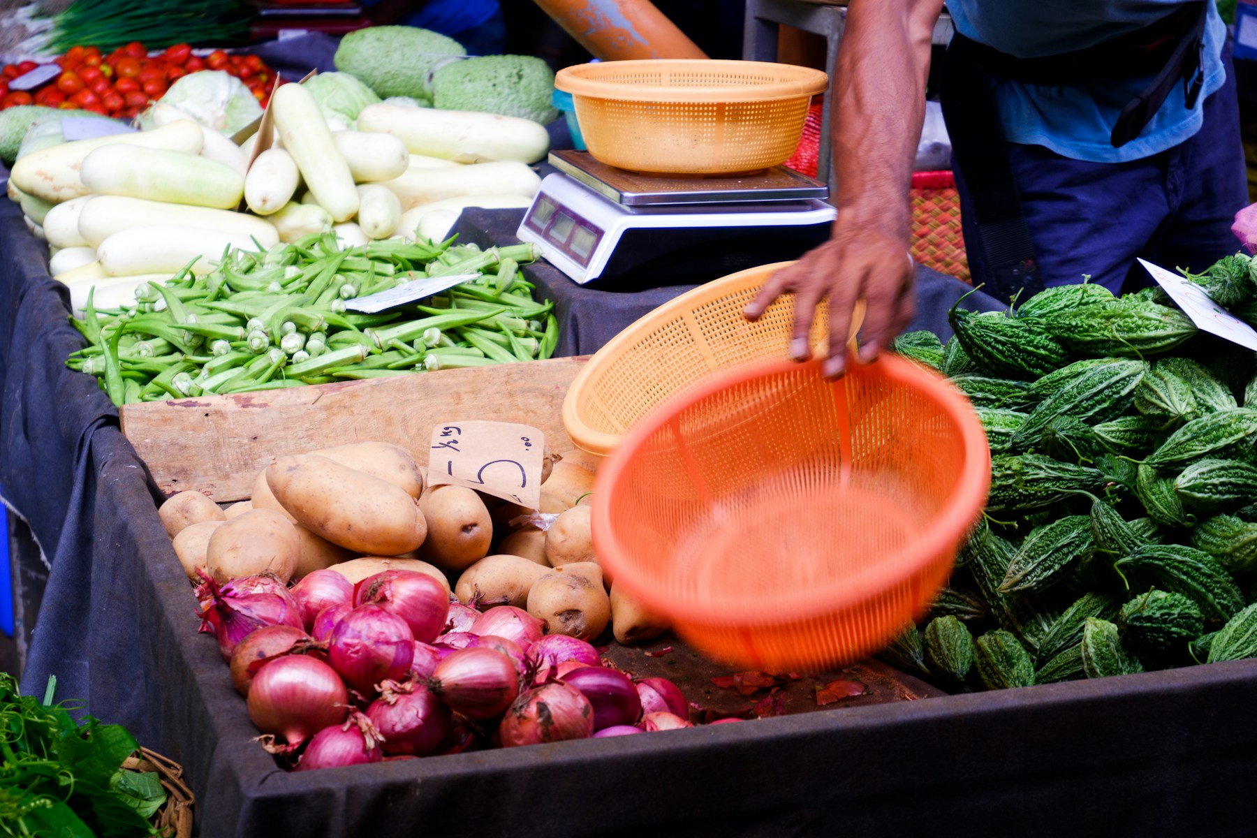 Alimentos frescos, una oportunidad para aprovechar y compartir