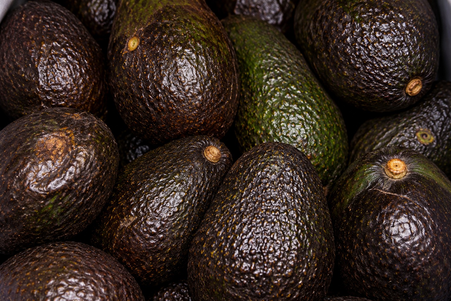 Recreación visual de los aguacates donados, basada en la imagen compartida por la fundación